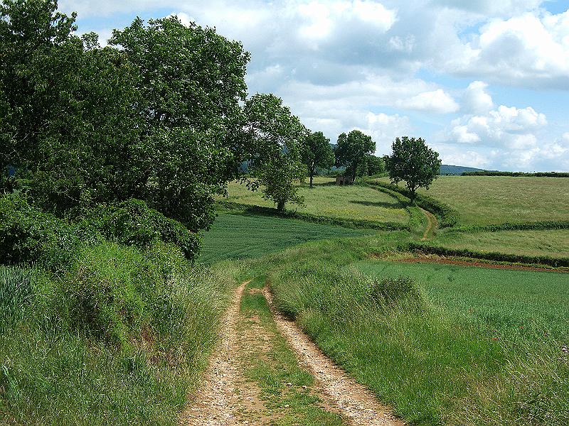 2010-05- (128).JPG - Sanfte Kurven kennzeichnen den Weg